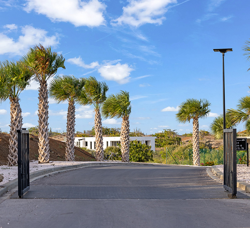 entree hofi st joris